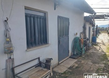 Terreno agricolo Chivasso - foto 18