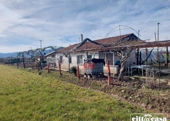 Terreno agricolo Chivasso - foto 29