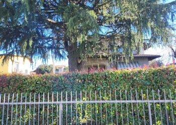 Villa Unifamiliare galliani, Carnago - foto 22