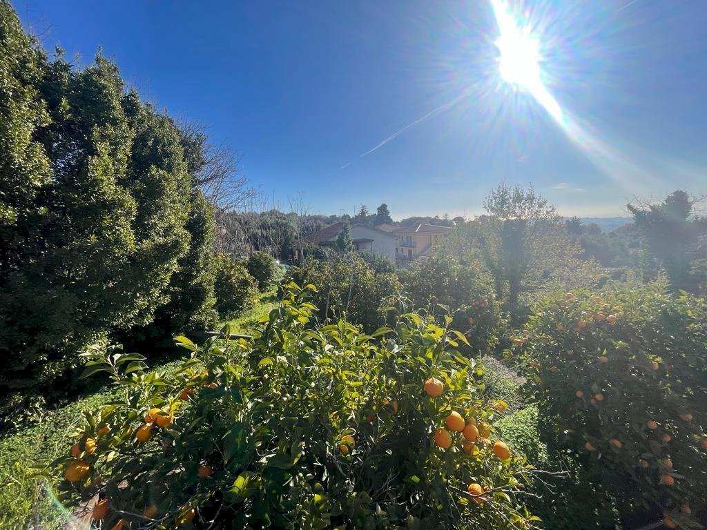 WhatsApp Image 2024-02-19 at 22.07.07 (14).jpeg - Building land Trecastagni - photo 1