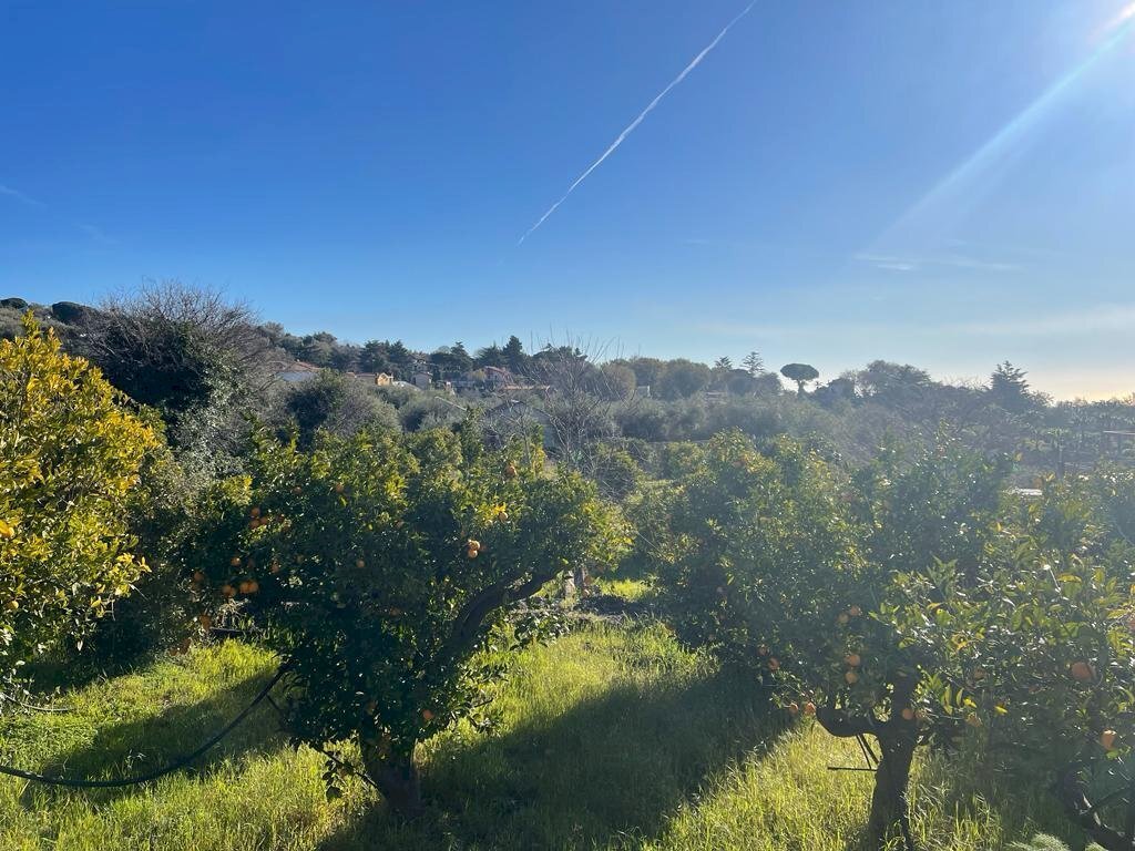 WhatsApp Image 2024-02-19 at 22.07.07 (1).jpeg - Building land Trecastagni - photo 2