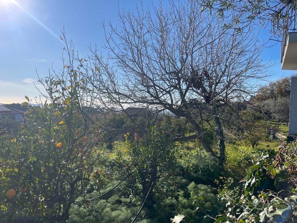 WhatsApp Image 2024-02-19 at 22.07.07 (2).jpeg - Building land Trecastagni - photo 3