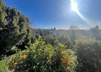 WhatsApp Image 2024-02-19 at 22.07.07 (14).jpeg - Terreno edificabile Trecastagni - foto 1