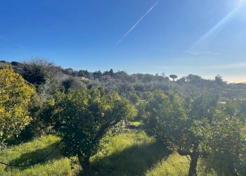 WhatsApp Image 2024-02-19 at 22.07.07 (1).jpeg - Terreno edificabile Trecastagni - foto 2