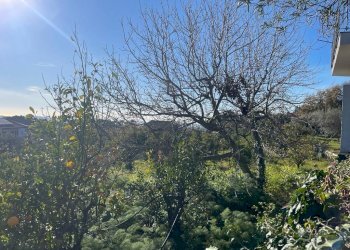 WhatsApp Image 2024-02-19 at 22.07.07 (2).jpeg - Terreno edificabile Trecastagni - foto 3