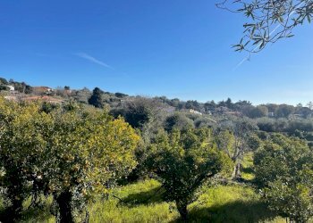 WhatsApp Image 2024-02-19 at 22.07.07 (3).jpeg - Terreno edificabile Trecastagni - foto 4