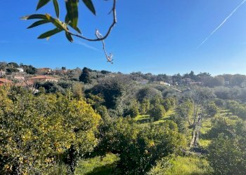 WhatsApp Image 2024-02-19 at 22.07.07 (4).jpeg - Terreno edificabile Trecastagni - foto 5