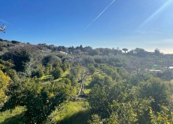 WhatsApp Image 2024-02-19 at 22.07.07 (5).jpeg - Terreno edificabile Trecastagni - foto 6