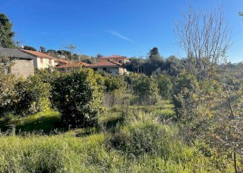 WhatsApp Image 2024-02-19 at 22.07.07 (6).jpeg - Terreno edificabile Trecastagni - foto 7