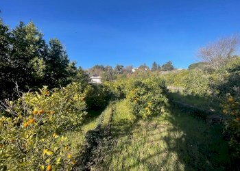 WhatsApp Image 2024-02-19 at 22.07.07 (8).jpeg - Terreno edificabile Trecastagni - foto 9