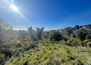 WhatsApp Image 2024-02-19 at 22.07.07 (10).jpeg - Terreno edificabile Trecastagni - foto 11