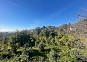 WhatsApp Image 2024-02-19 at 22.07.07 (12).jpeg - Terreno edificabile Trecastagni - foto 13