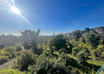 WhatsApp Image 2024-02-19 at 22.07.07 (13).jpeg - Terreno edificabile Trecastagni - foto 14