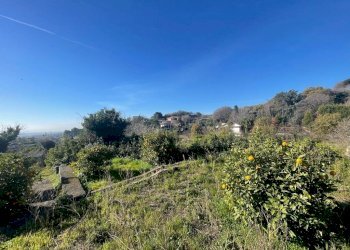 WhatsApp Image 2024-02-19 at 22.07.07 (16).jpeg - Terreno edificabile Trecastagni - foto 15