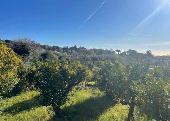 WhatsApp Image 2024-02-19 at 22.07.07.jpeg - Terreno edificabile Trecastagni - foto 16