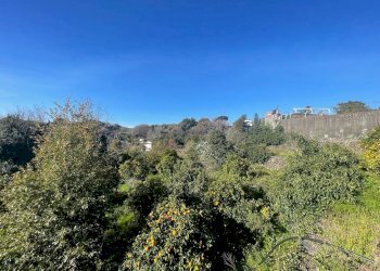 WhatsApp Image 2024-02-19 at 22.07.46 (7).jpeg - Terreno edificabile Trecastagni - foto 22