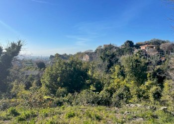 WhatsApp Image 2024-02-19 at 22.07.46 (9).jpeg - Terreno edificabile Trecastagni - foto 24