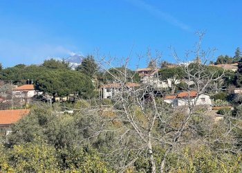 WhatsApp Image 2024-02-19 at 22.07.46 (11).jpeg - Terreno edificabile Trecastagni - foto 26