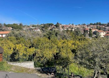 WhatsApp Image 2024-02-19 at 22.07.46 (12).jpeg - Terreno edificabile Trecastagni - foto 27