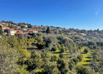 WhatsApp Image 2024-02-19 at 22.07.46 (13).jpeg - Terreno edificabile Trecastagni - foto 28