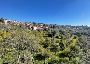 WhatsApp Image 2024-02-19 at 22.07.46 (18).jpeg - Terreno edificabile Trecastagni - foto 30