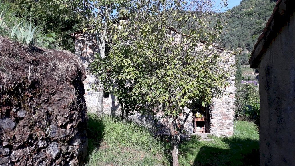 20190921_102333_001.jpg - Villa Ameglia - foto 2