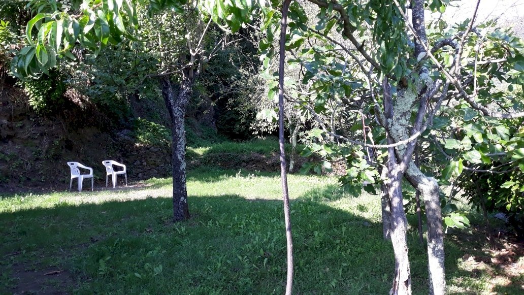 20190921_102610_001.jpg - Villa Ameglia - foto 3