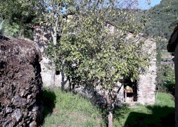 20190921_102333_001.jpg - Villa Ameglia - foto 2