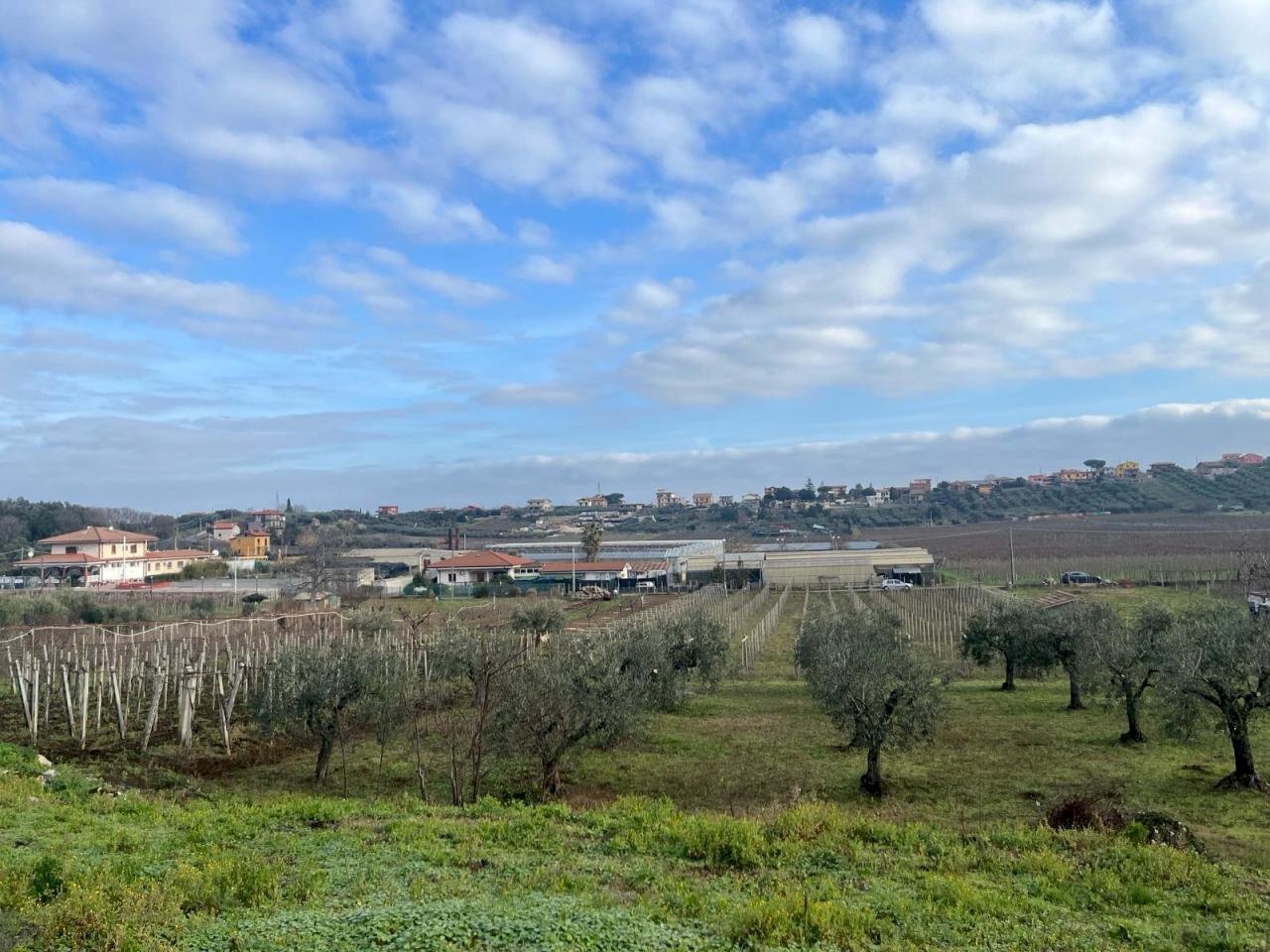 WhatsApp Image 2024-01-26 at 12.00.33 (1).jpeg - Agricultural land Via Valle di Pantano Secco 10, Frascati - photo 1