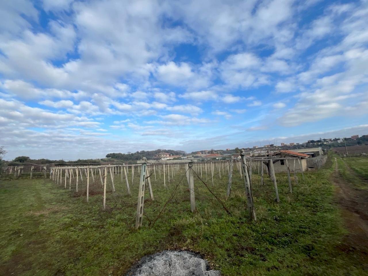 WhatsApp Image 2024-01-26 at 12.00.28.jpeg - Agricultural land Via Valle di Pantano Secco 10, Frascati - photo 3