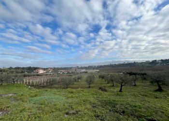 WhatsApp Image 2024-01-26 at 12.00.33.jpeg - Terreno agricolo Via Valle di Pantano Secco 10, Frascati - foto 5