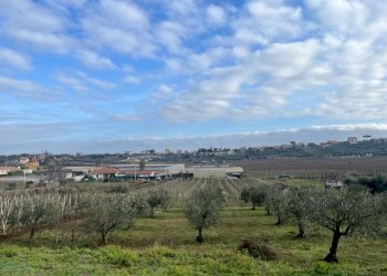 WhatsApp Image 2024-01-26 at 12.00.32 (5).jpeg - Terreno agricolo Via Valle di Pantano Secco 10, Frascati - foto 6