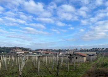 WhatsApp Image 2024-01-26 at 12.00.32 (3).jpeg - Terreno agricolo Via Valle di Pantano Secco 10, Frascati - foto 8