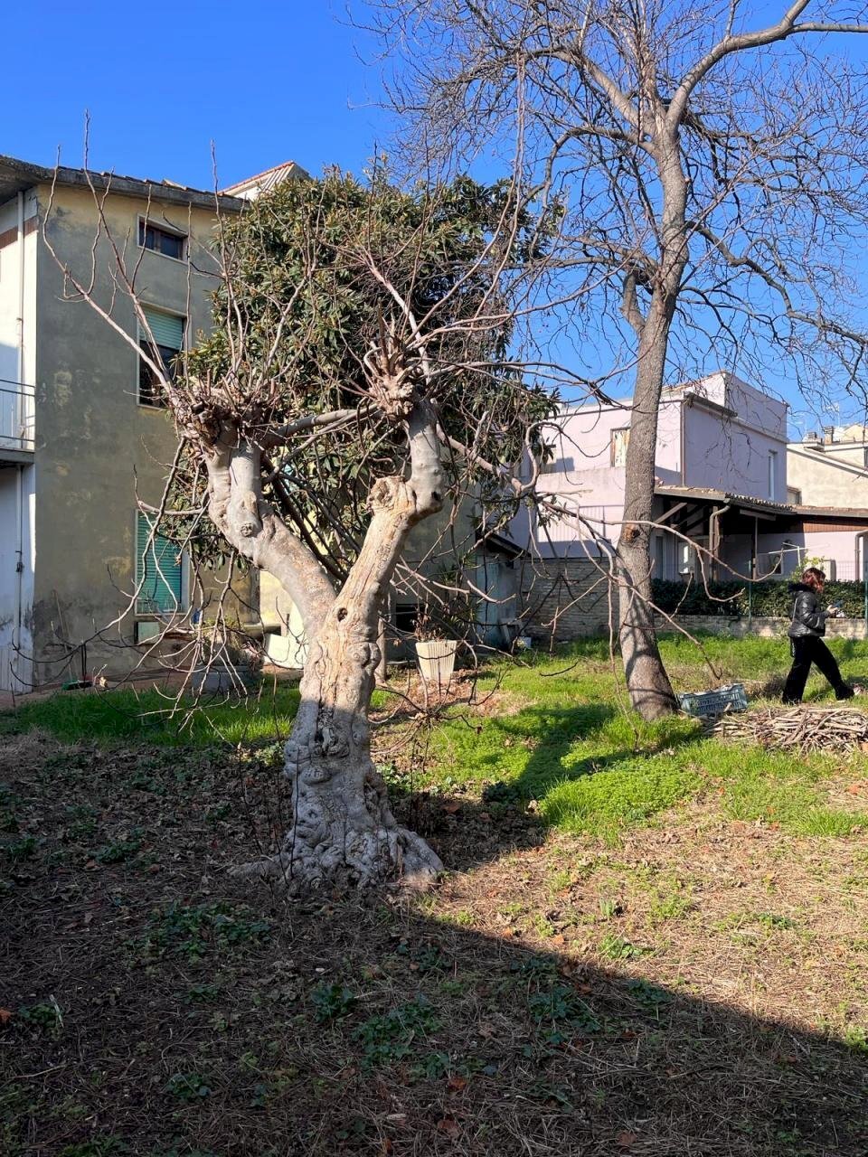 IMG-20240129-WA0027.jpg - Villa Via Armando Diaz 16, Castel di Lama - foto 2