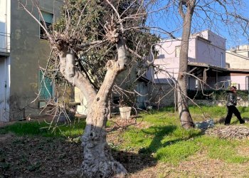 IMG-20240129-WA0027.jpg - Villa Via Armando Diaz 16, Castel di Lama - foto 2