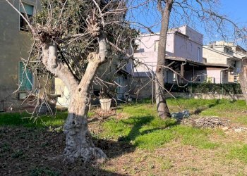 IMG-20240129-WA0025.jpg - Villa Via Armando Diaz 16, Castel di Lama - foto 17