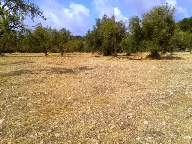 Agricultural land Scicli - photo 1