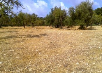 Agricultural land Scicli - photo 1