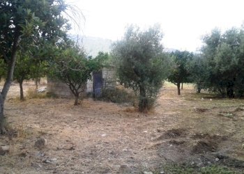 Rustico Scicli - foto 1