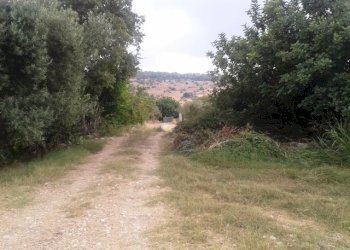 Rustico Scicli - foto 5