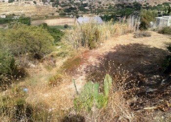 Agricultural land Scicli - photo 1