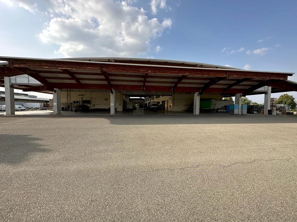 Shed Parma - photo 1