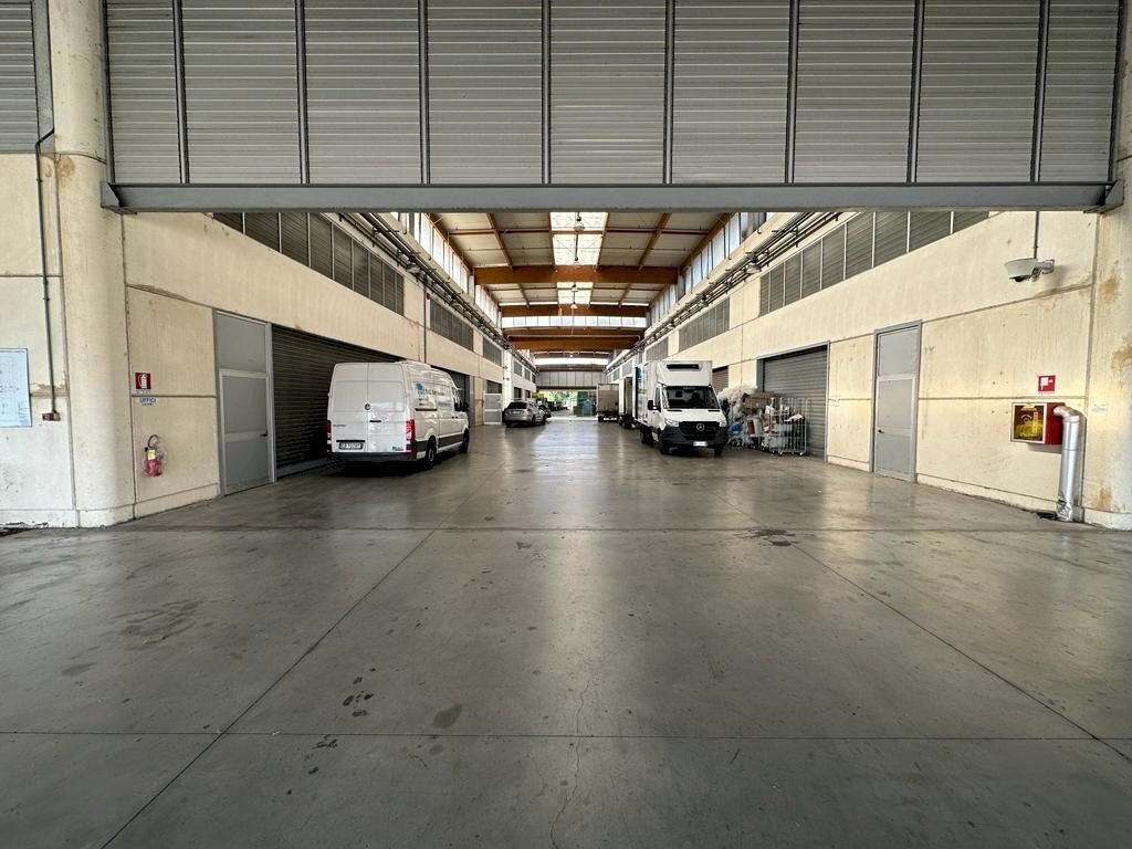 Shed Parma - photo 3