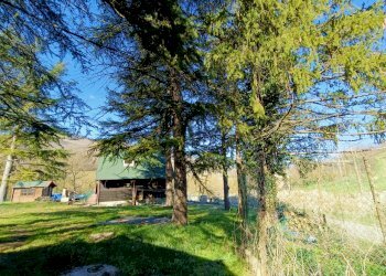 Casa indipendente Meldola - foto 19