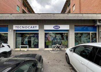 Negozio Via Bruno Tosarelli, Castenaso - foto 5