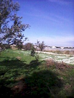 Rustico contrada Cozzo Muto, Scicli - foto 2