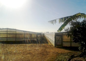 Rustico contrada Fumarie, Scicli - foto 5