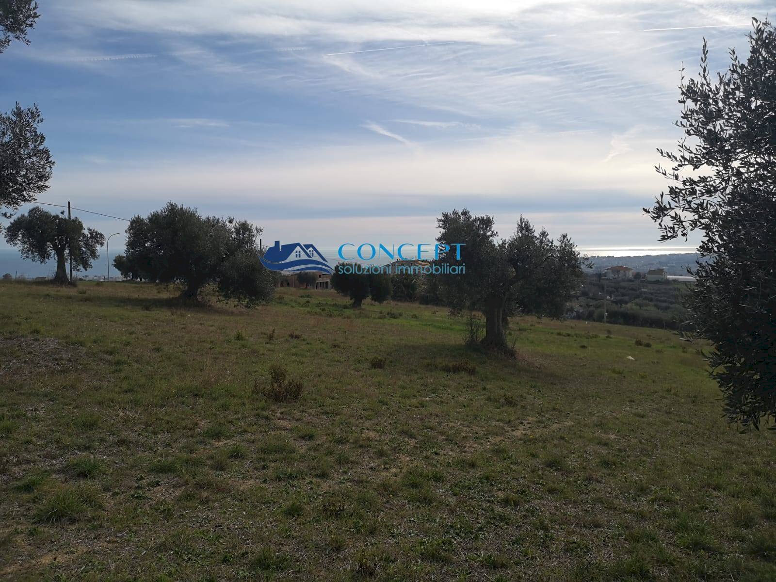 Terreno edificabile loc. Civita, Colonnella - foto 1