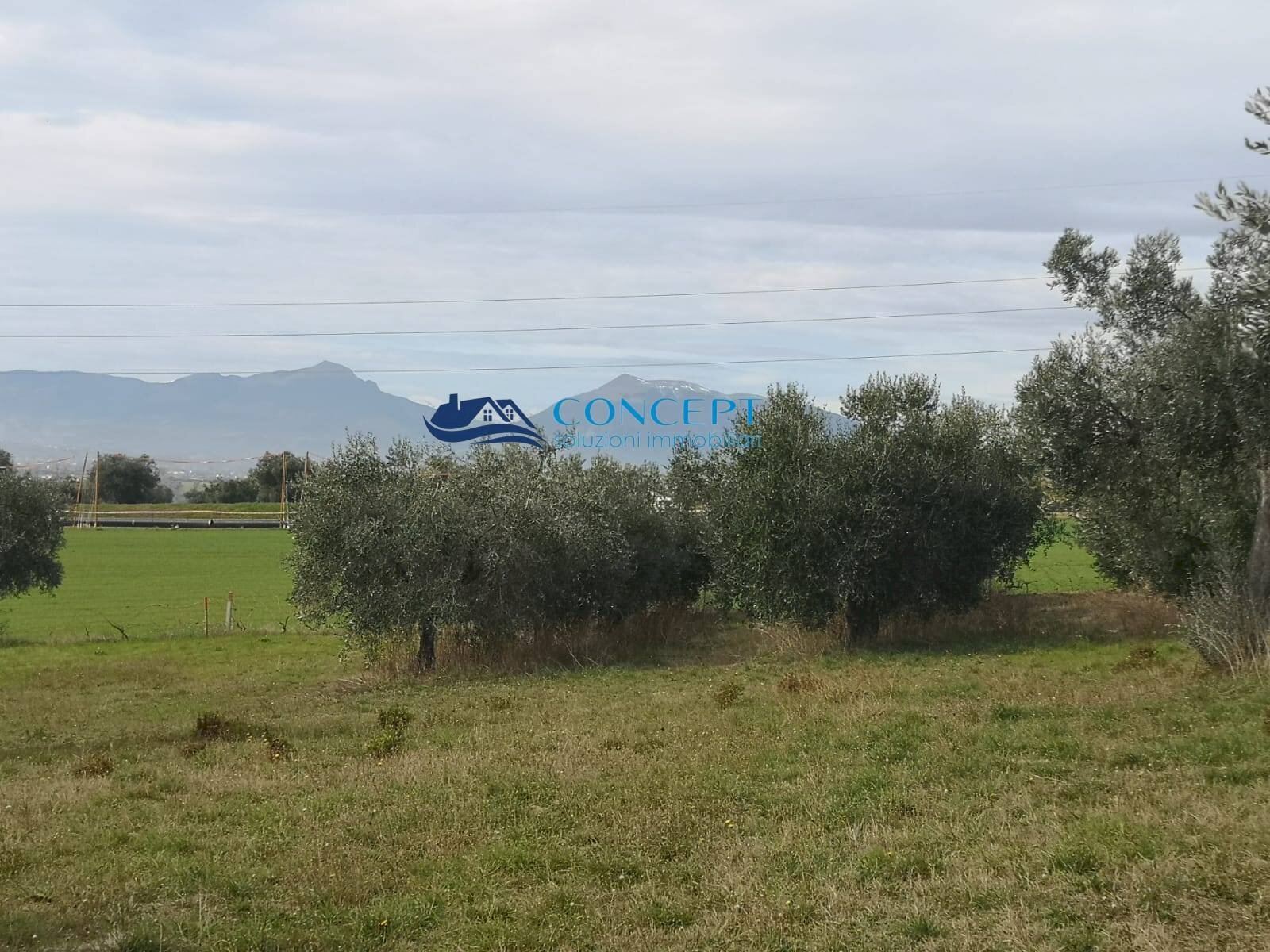 Terreno edificabile loc. Civita, Colonnella - foto 2