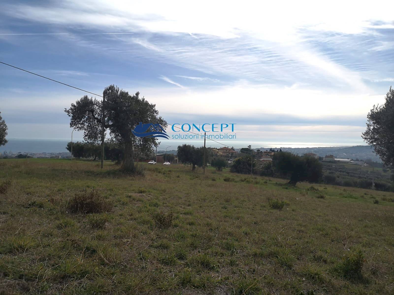 Terreno edificabile loc. Civita, Colonnella - foto 3